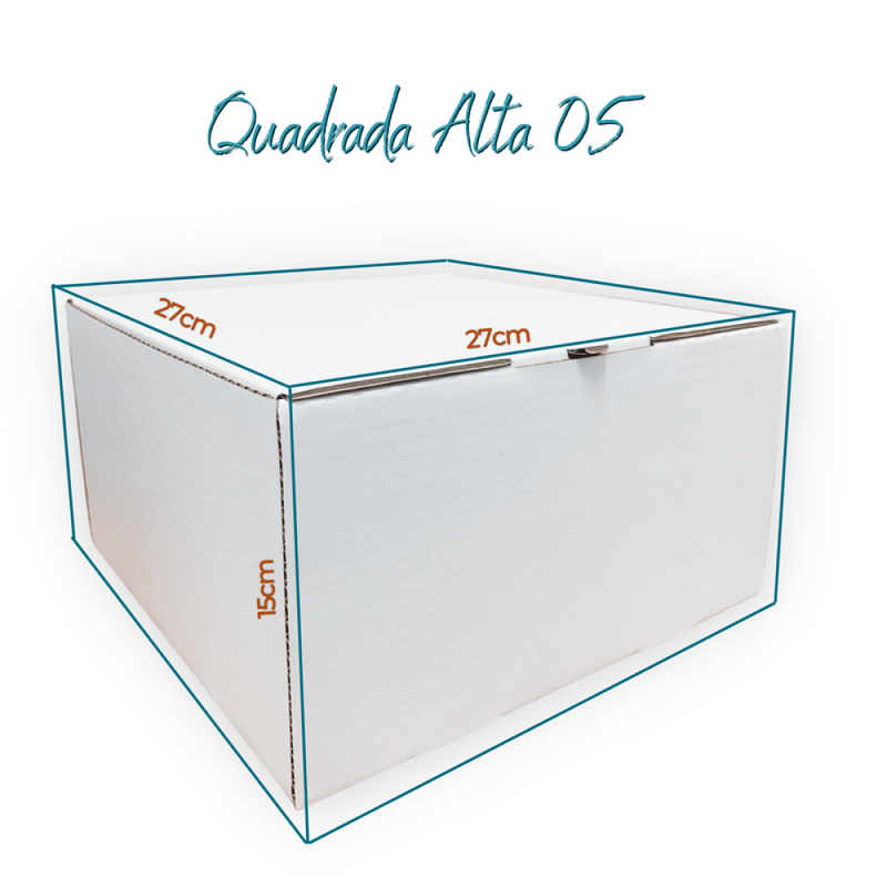Caixa para Bolo Quadrada Alta Nº 5 27x27x15cm Cia dos Produtos